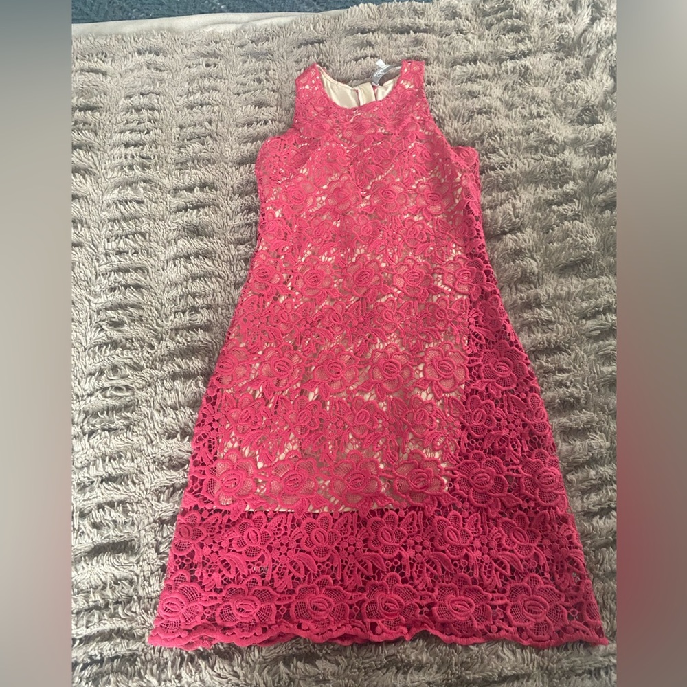 Lovers and Friends XS pink and nude lace dress - never worn!